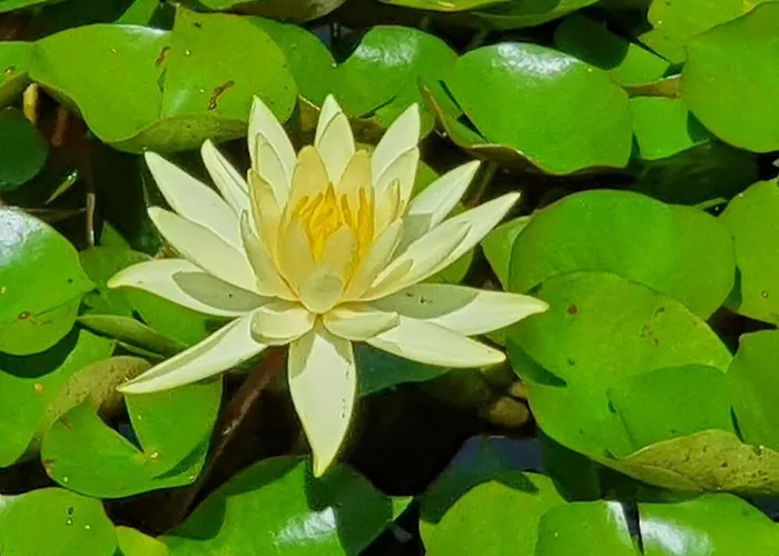 Spectrum Kirche Exerzitien-und Bildungshaus Auf Mariahilf パッサウ