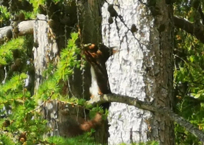 Spectrum Kirche Exerzitien-und Bildungshaus Auf Mariahilf * パッサウ