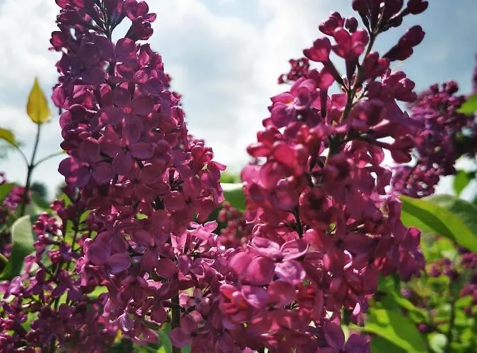 Spectrum Kirche Exerzitien-und Bildungshaus Auf Mariahilf *