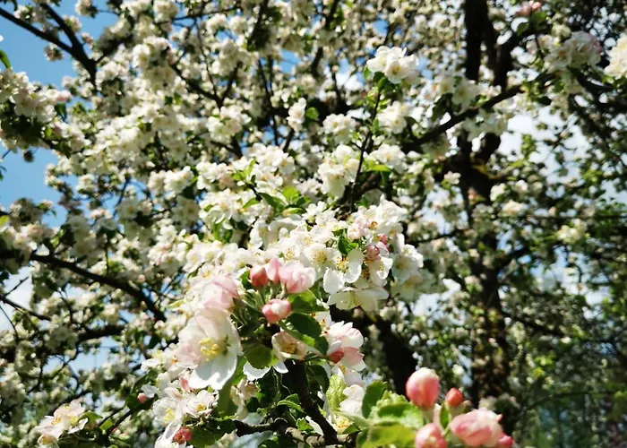 Spectrum Kirche Exerzitien-und Bildungshaus Auf Mariahilf * 帕绍